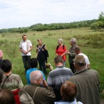 Wahner heide Bild Wahner heide Bild